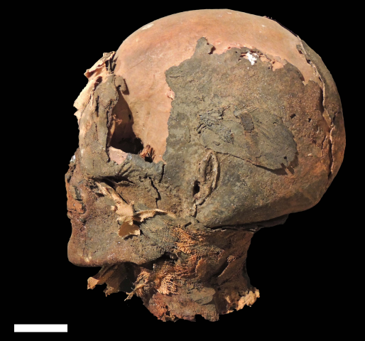 L’Egitto a Erba: le mummie del Museo Civico di Erba raccontano