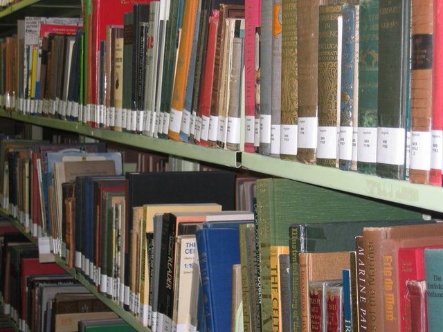 Fasi della luna, fasi della vita - pedagogia della femminilità