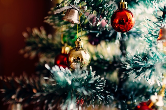 Santo Natale 2019 - Campanari itineranti